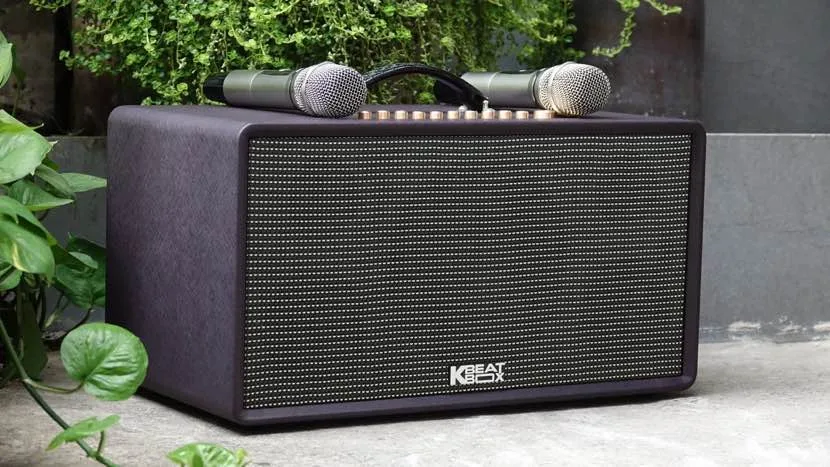 5 Loa Karaoke Xách Tay Hay Nhất Đáng Mua Chơi Tết 2024