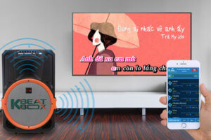 7 lỗi khi dùng loa kéo karaoke ai cũng gặp phải? Cách khắc phục?