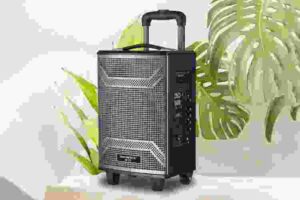 Cách kết nối hai loa kéo với nhau chỉ 3 bước đơn giản