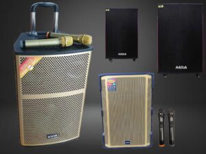 CHO THUÊ LOA KẸO KÉO TÂN BÌNH GIÁ RẺ – LOA HAY