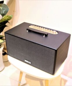 LOA Acnos CS200PU- Loa karaoke mini cao cấp hay nhất hiện nay LOA Acnos CS200PU- Loa karaoke mini cao cấp hay nhất hiện nay