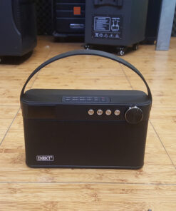 Loa Boxt Q5 – Loa karaoke mini chất lượng 50W, chỉ 2tr+++