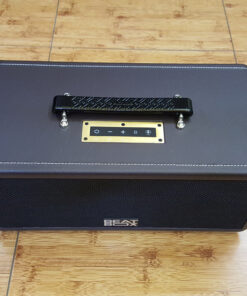 LOA DI ĐỘNG ACNOS KS361MS