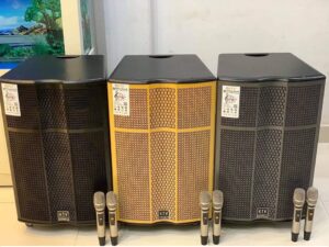 Loa kéo Best loại nào tốt nhất? Nên mua ở đâu chính hãng?