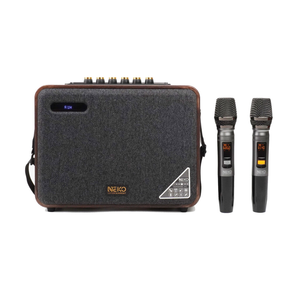 Loa kéo dưới 3 triệu tốt nhất, Mic hát Karaoke HAY NHƯ Ca Sĩ