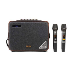 Loa kéo dưới 3 triệu tốt nhất, Mic hát Karaoke HAY NHƯ Ca Sĩ