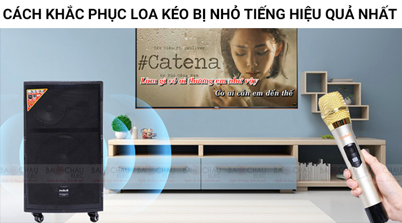 Loa kéo Karaoke và lỗi thường gặp [ Cách khắc phục ]
