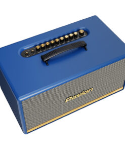 Loa Paramax Pasion 2c – Loa karaoke xách tay cao cấp 2023