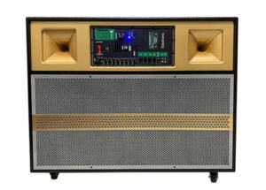 Top 7 loa nghe nhạc vàng hay nhất mọi thời đại