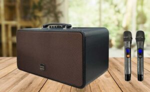 Tư vấn chọn loa karaoke xách tay giá rẻ, phù hợp với bạn?