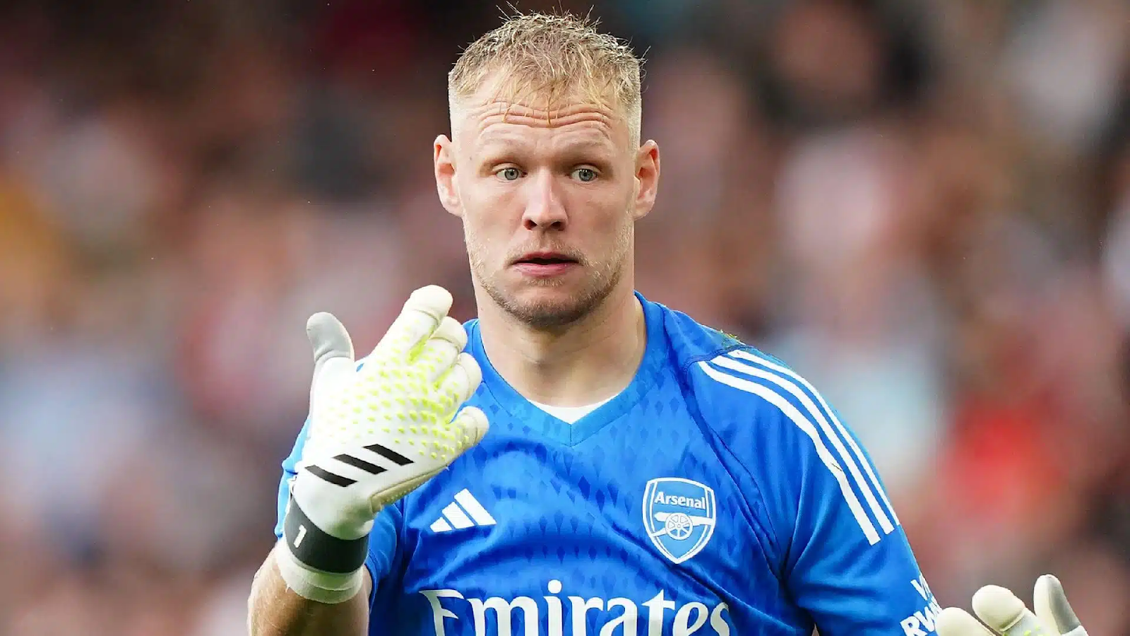 Cầu thủ Asmir Begović - Hành trình từ những ngày đầu đến đỉnh cao sự nghiệp
