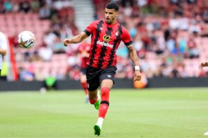 AFC Bournemouth: Hành trình phi thường của một câu lạc bộ bóng đá nổi tiếng tại Anh